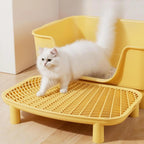 Litter Box Ramp & Filter Mat