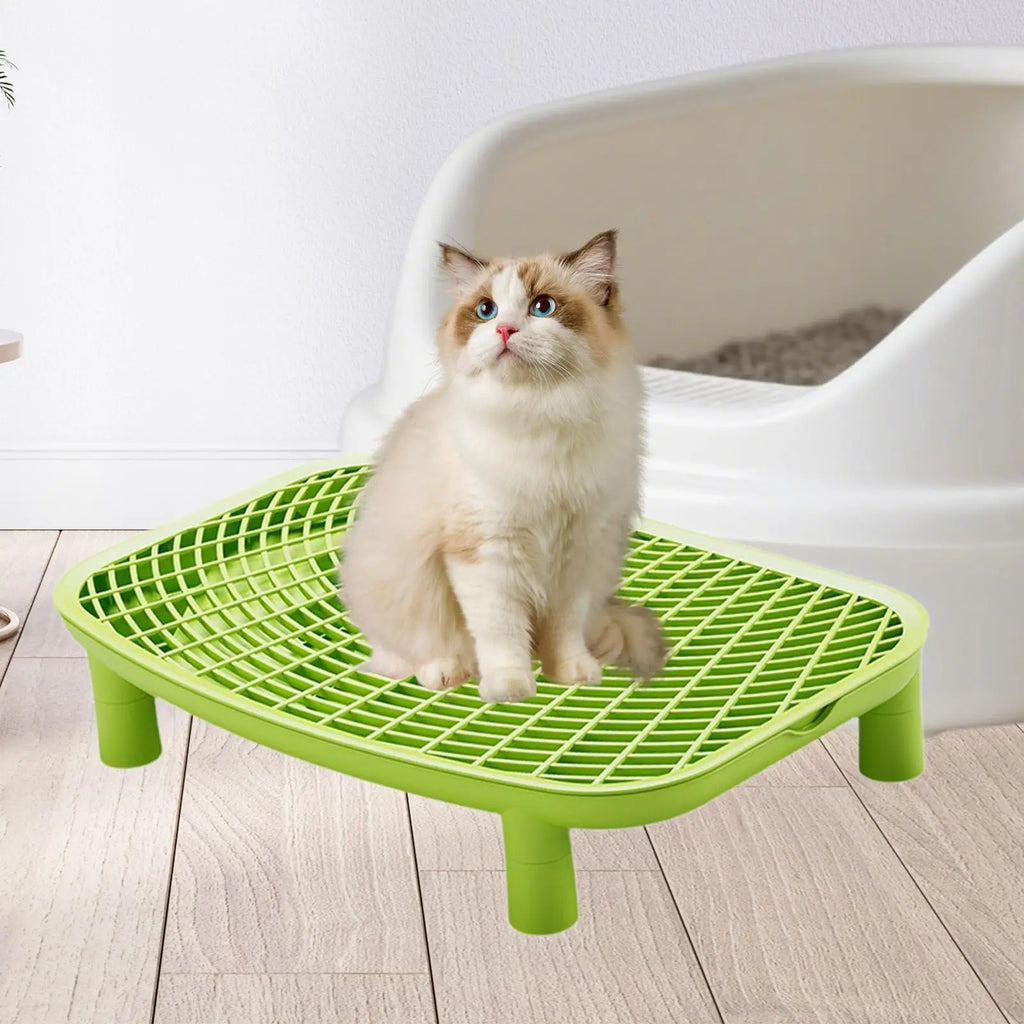 Litter Box Ramp & Filter Mat