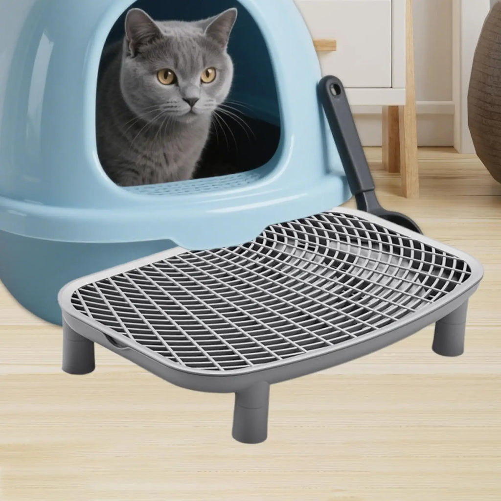 Litter Box Ramp & Filter Mat