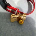 Custom Stainless Steel Pet ID Tag