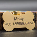Custom Stainless Steel Pet ID Tag