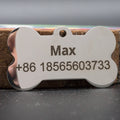 Custom Stainless Steel Pet ID Tag