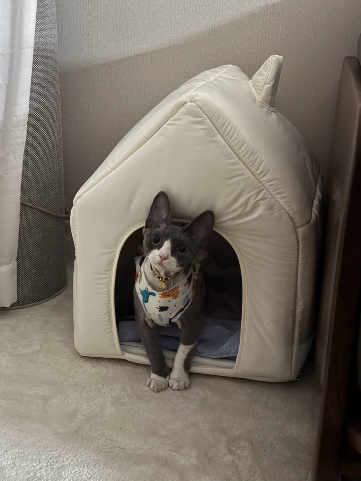 Heated Winter Cat Nest Tent