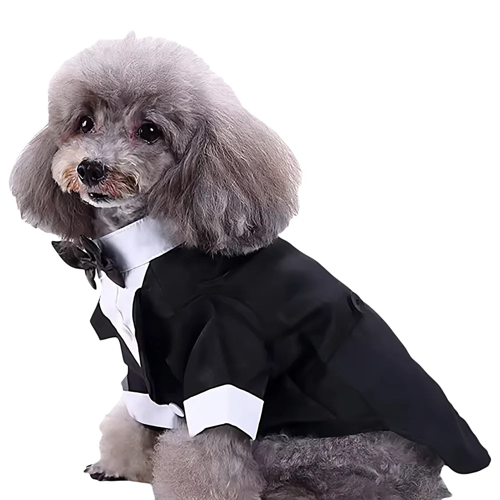 Formal Tuxedo Pet Costume
