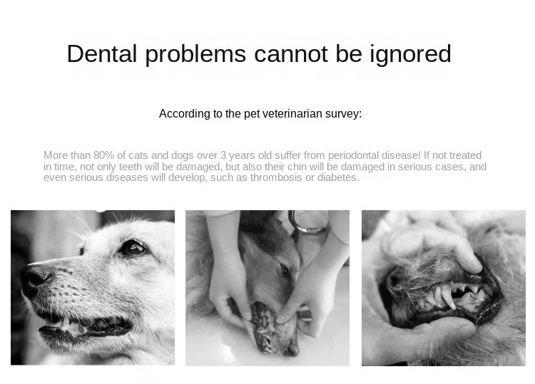 Round Head Pet Toothbrush