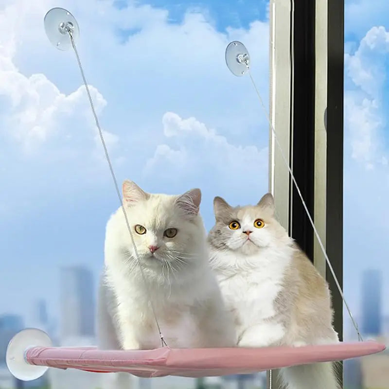 Cat Window Hammock