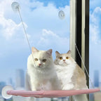 Cat Window Hammock