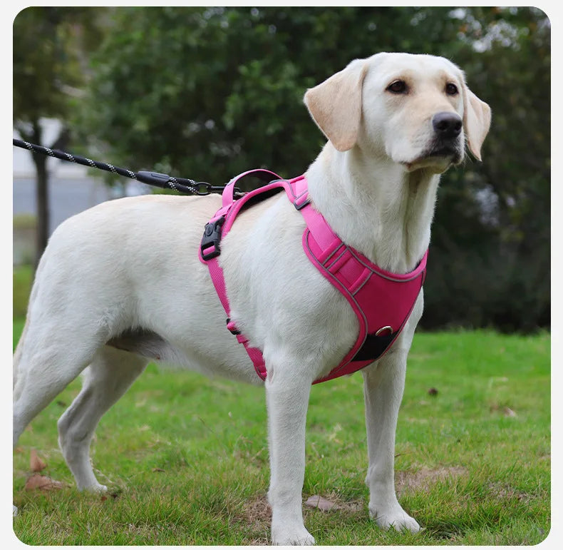 Anti-Pull Reflective Dog Harness