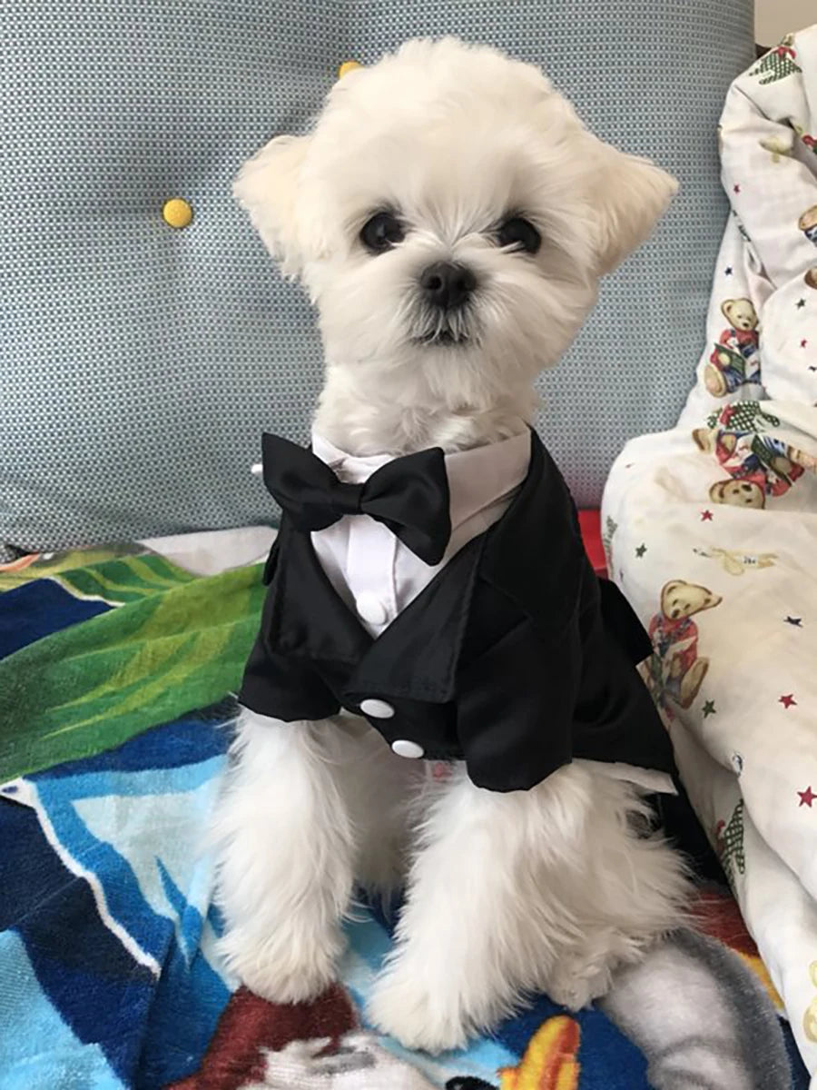 Formal Tuxedo Pet Costume