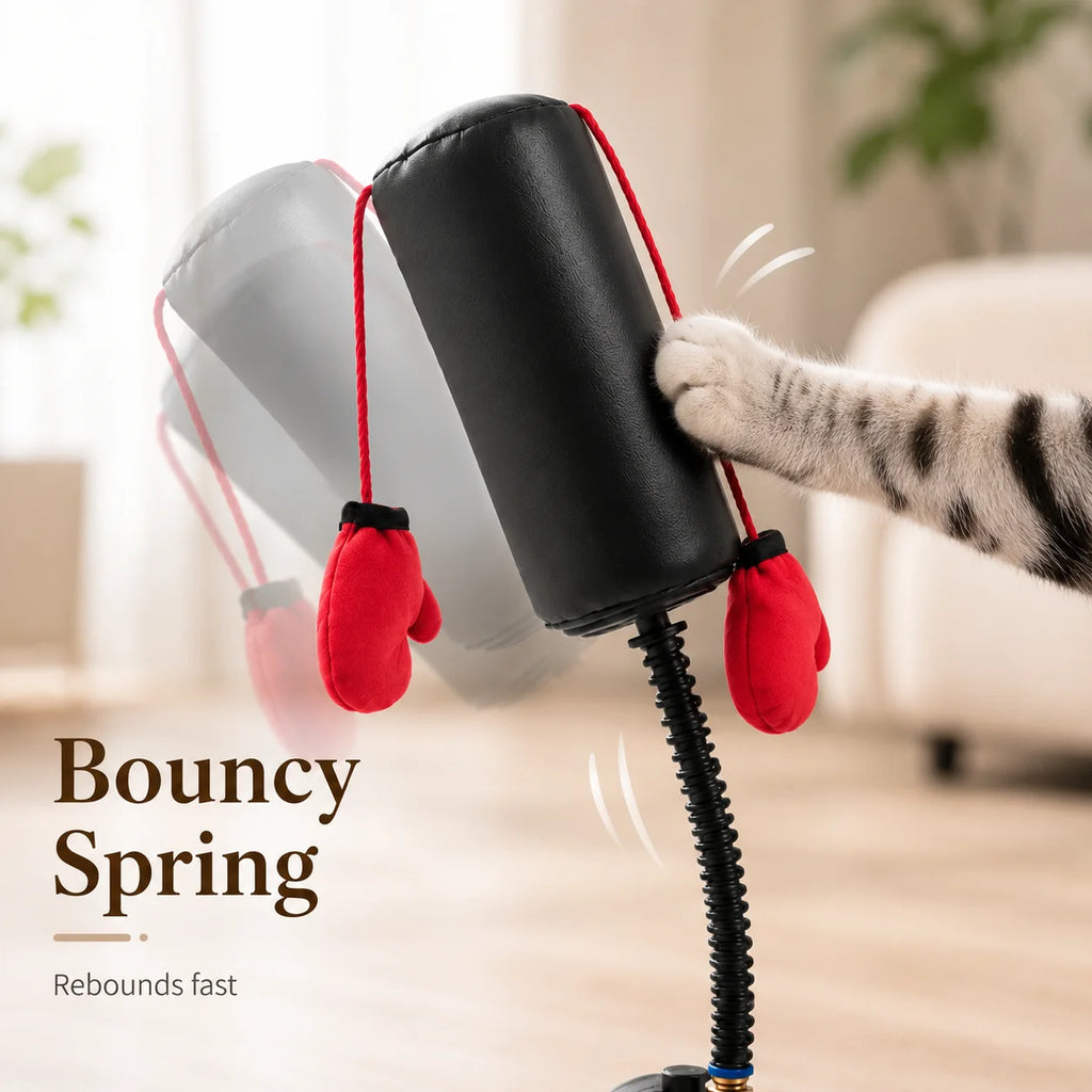 Interactive Cat Boxing Toy