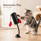 Interactive Cat Boxing Toy