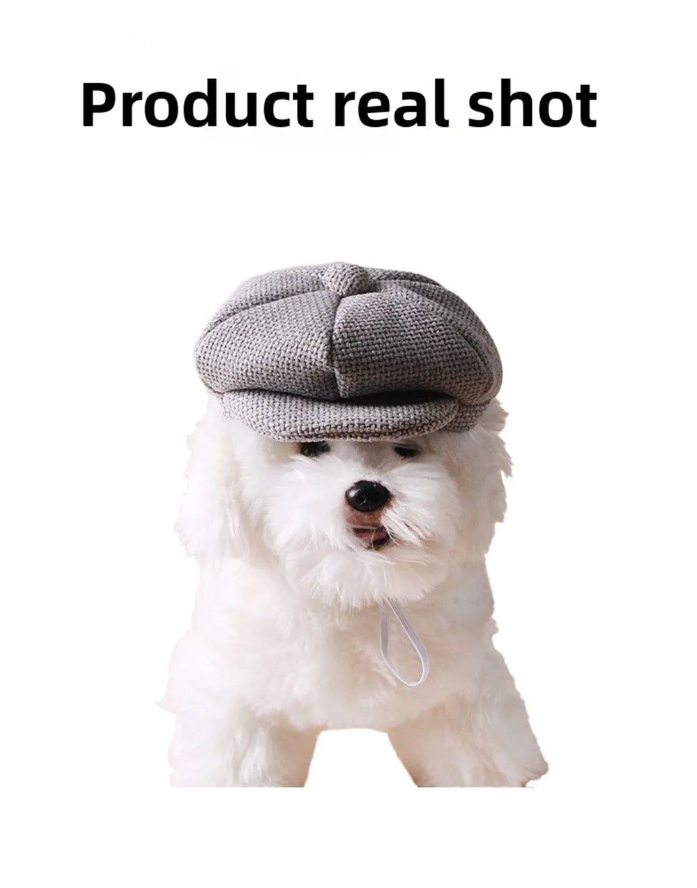 Retro Beret Pet Hat