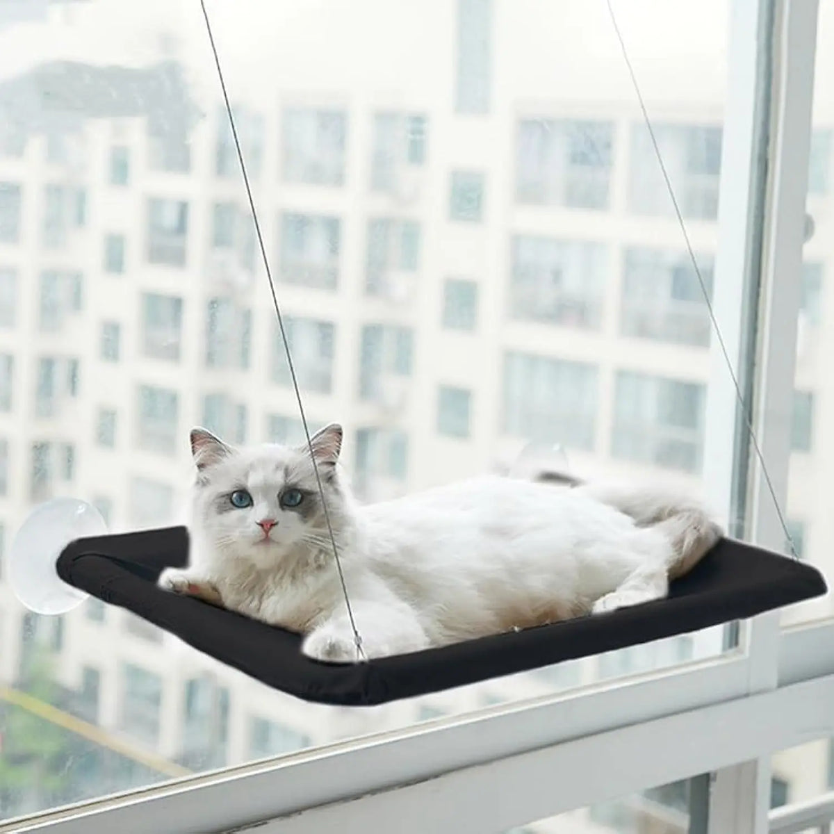 Cat Window Hammock