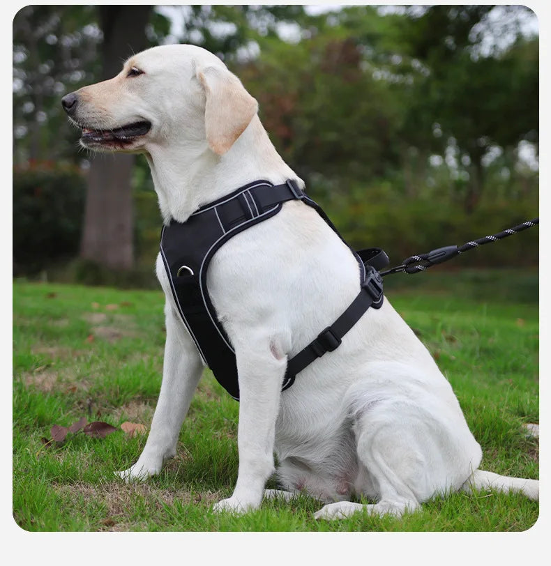 Anti-Pull Reflective Dog Harness