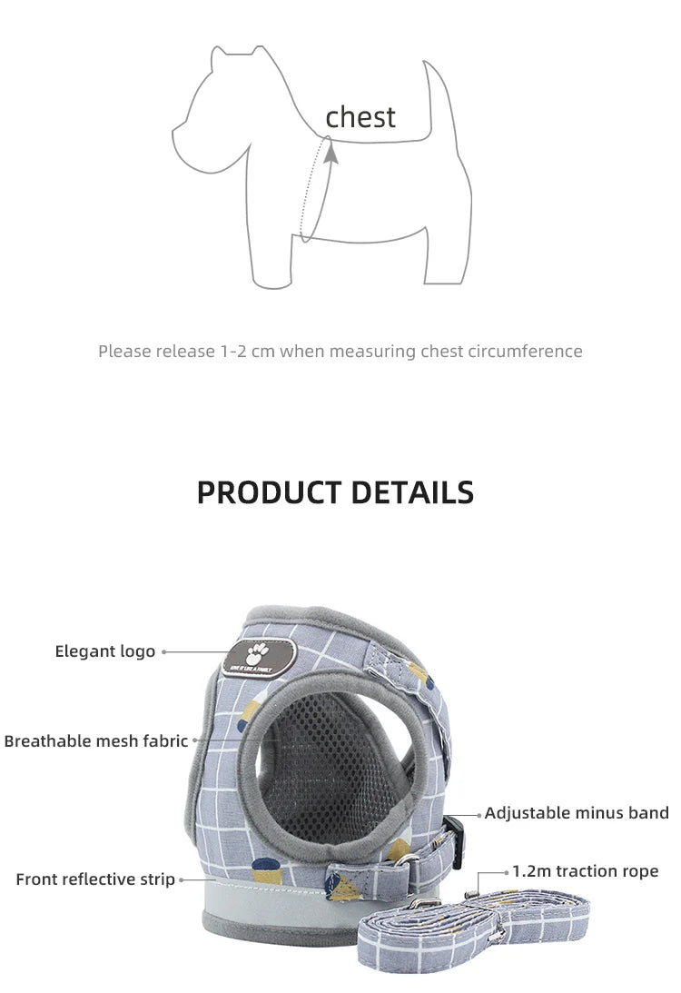 Plaid Small Dog Harness & Leash
