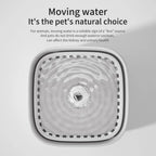 3L Auto-Circulating Cat Water Fountain
