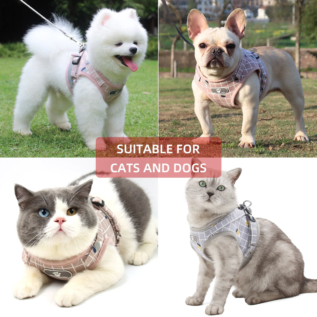 Plaid Small Dog Harness & Leash