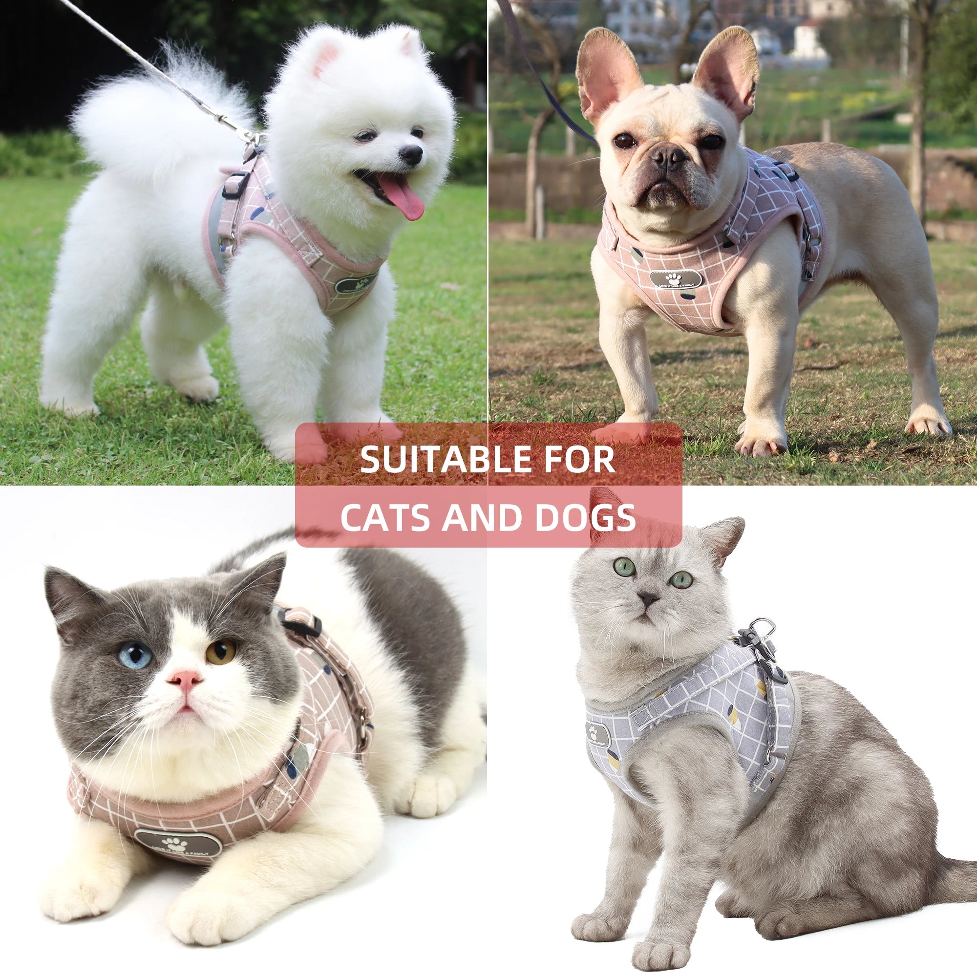 Plaid Small Dog Harness & Leash