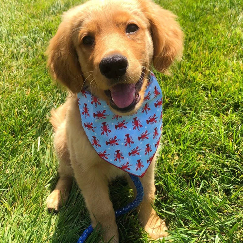 Triangle Pet Bandana Scarf