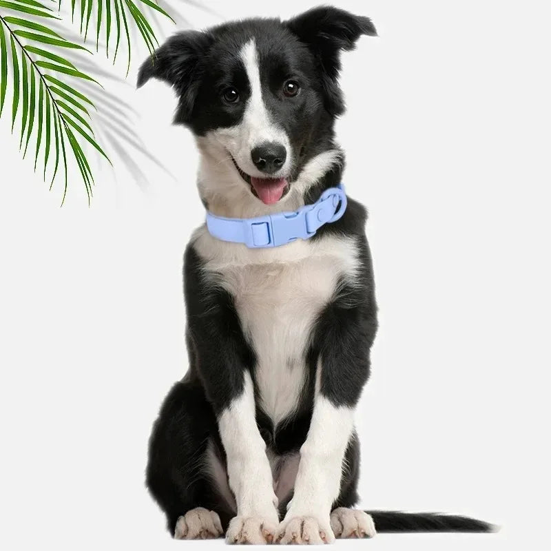 Macaron Color Waterproof Dog Collar