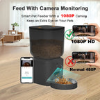 Smart WiFi Cat Feeder with Camera