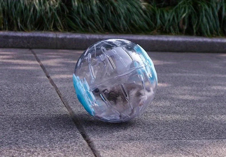 Small Pet Exercise Ball