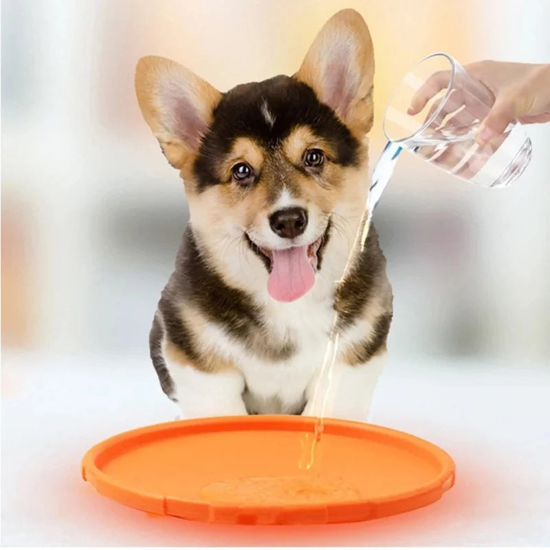 Silicone Flying Disk Dog Toy