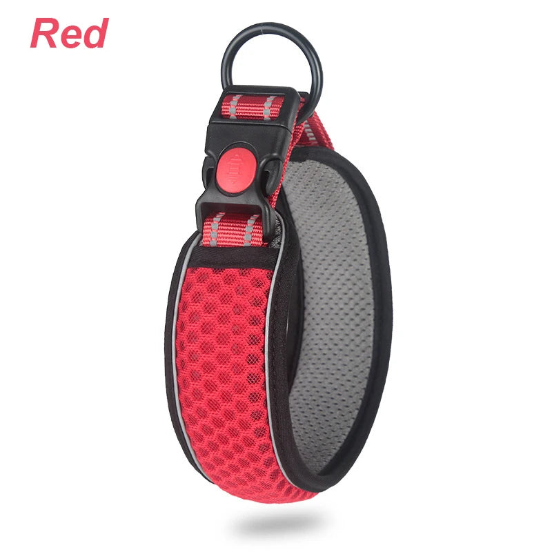 Reflective Padded Dog Collar