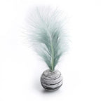 Feather Ball Cat Toy Set