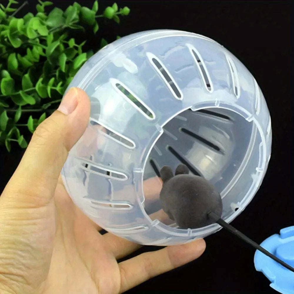 Small Pet Exercise Ball