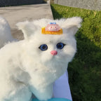 Pet Hair Clip Set