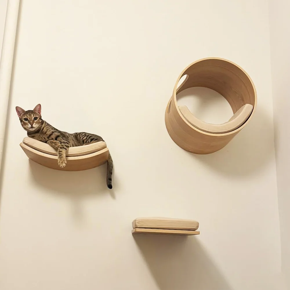 Wall-Mounted Cat Ledge & Steps