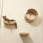 Wall-Mounted Cat Ledge & Steps