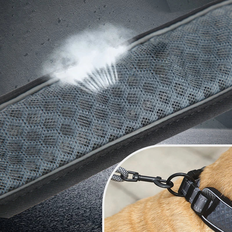 Reflective Padded Dog Collar