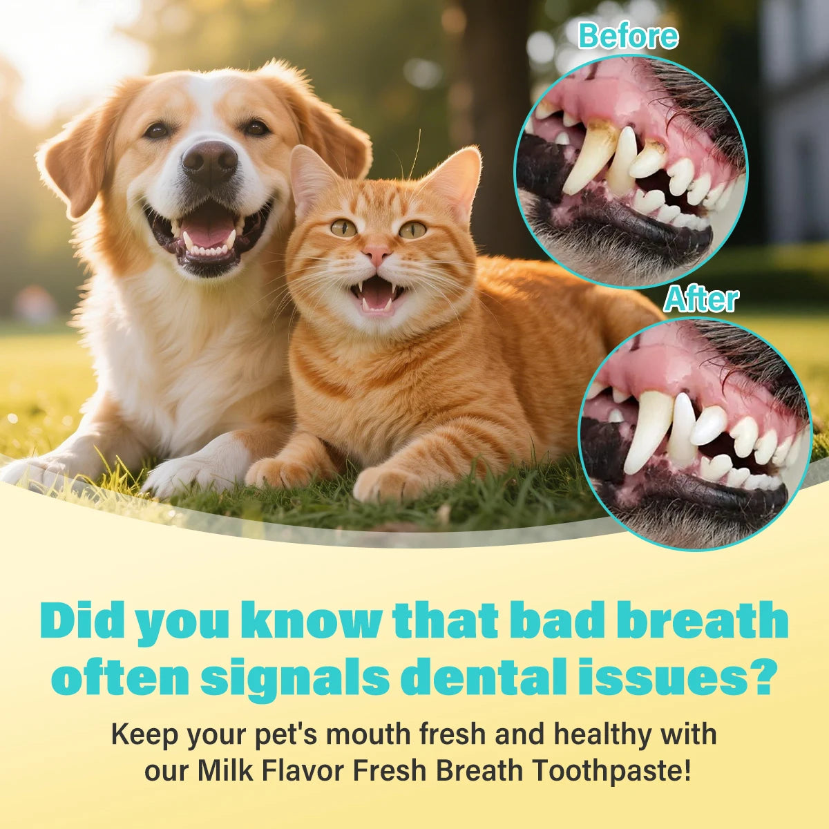 Pet Dental Care Kit