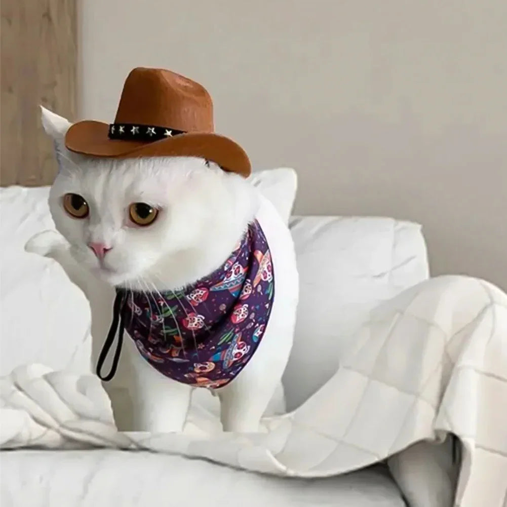 Cowboy Hat Pet Costume