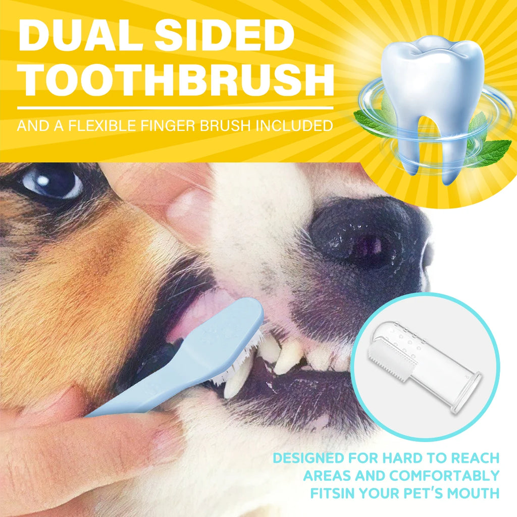 Pet Dental Care Kit