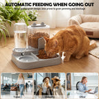 2-in-1 Automatic Pet Feeder & Fountain