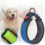 Reflective Padded Dog Collar