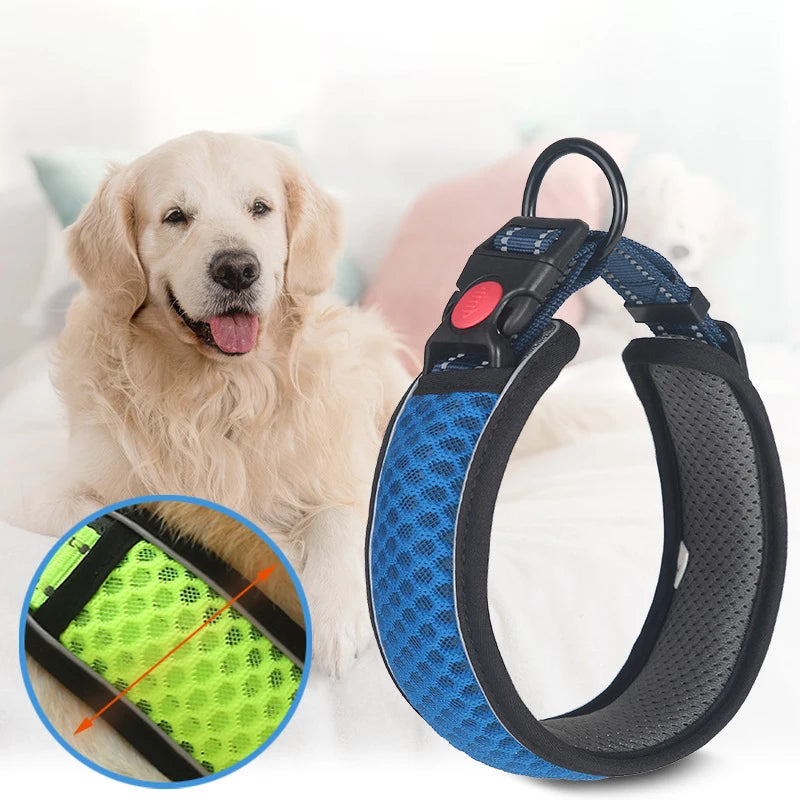 Reflective Padded Dog Collar