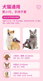 Pet Hair Dryer Dog Grooming Golden Retriever Hairdressing Dog Drying Brush Hair Comb Mute Not Hurt Hair Water Blower