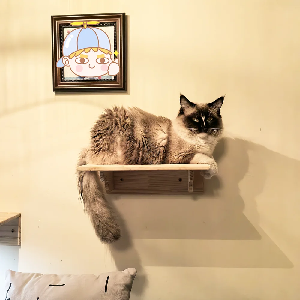 Modern Hardwood Cat Wall Shelf