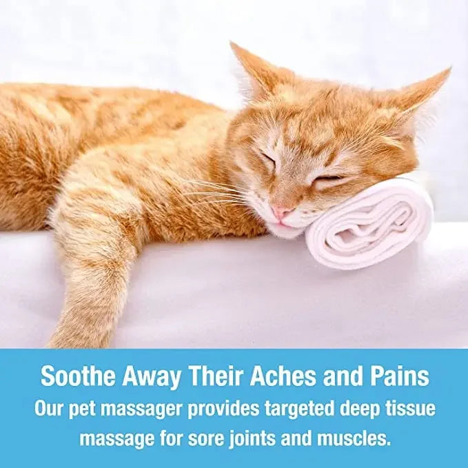 Electric Cat Head Massager