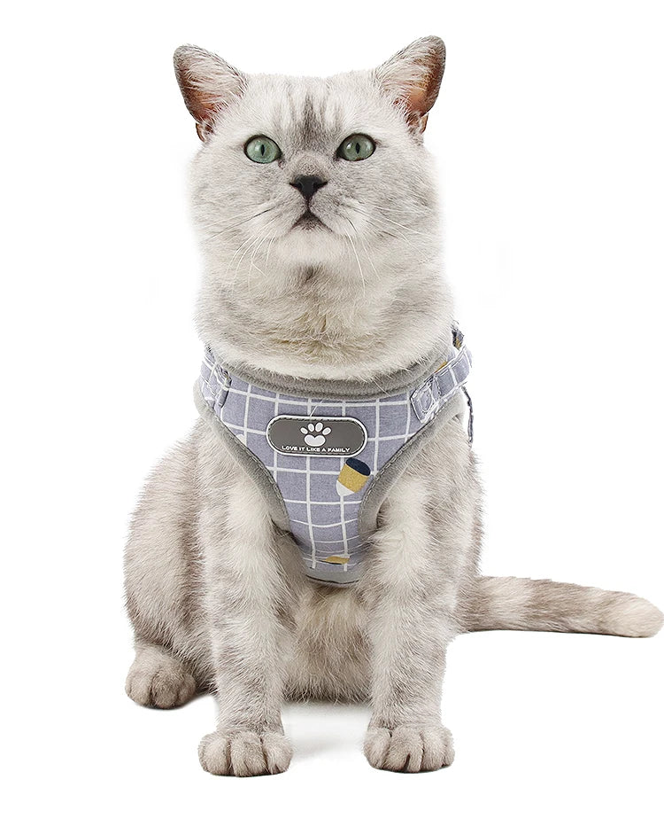 Plaid Small Dog Harness & Leash