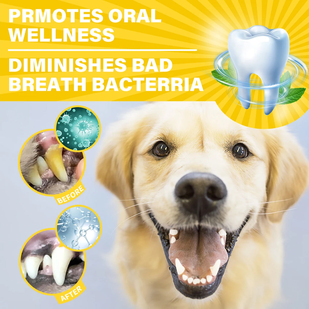 Pet Dental Care Kit