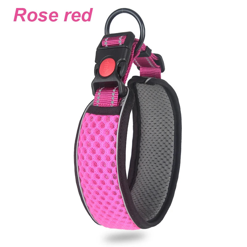 Reflective Padded Dog Collar