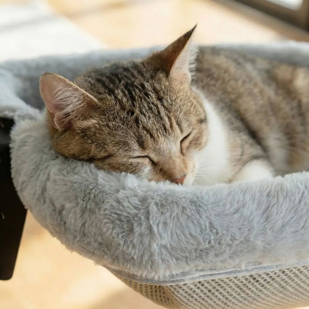Under-Desk Cat Hammock Bed