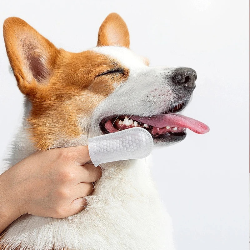 Disposable Pet Dental Finger Wipes