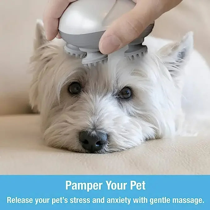 Electric Cat Head Massager