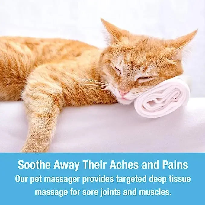 Electric Cat Head Massager